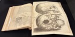 Primitiae anatomicae : De humani corporis ossibus by Pieter Paaw