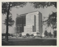 Hermann Hospital Archive Records
