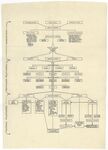 Organizational chart of M.D. Anderson Hospital and Cancer Research by Randolph Lee Clark