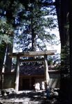 9 Ise Shrine, Tori In And Out Of The Main Shrine by Masamichi Suzuki (1918-2014)