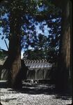 10 Ise Shrine, Ground Within The Main Shrine by Masamichi Suzuki (1918-2014)