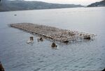 9 Mikimoto Pearl Farm, Raft by Masamichi Suzuki (1918-2014)