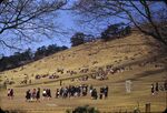 5 Nara, Mount Wakakusa Picnic Ground