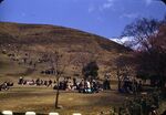 9 Nara, Mount Wakakusa Picnic Ground by Masamichi Suzuki (1918-2014)