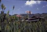 13B Hibomashi Carp Viewed From Wheat Field by Masamichi Suzuki (1918-2014)