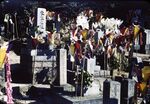 11 Paper Lanterns Decorate Cemetery At Hiroshima, Autumn Festival
