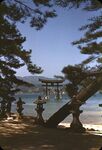 10 Miyajima, Tori-View From South by Masamichi Suzuki (1918-2014)