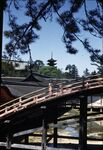 17 Miyajima, Foreground - Itsukushiuma Shrine With Pagodas In Background