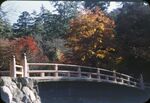 22 Miyajima Maple Grove by Masamichi Suzuki (1918-2014)