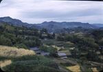12 Nagasaki, West Valley Of Nishiyama Area by Masamichi Suzuki (1918-2014)