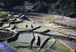 29 Aso National Park Terrace Farm by Masamichi Suzuki (1918-2014)
