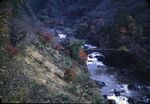 41 Aso Park, Fall Season by Masamichi Suzuki (1918-2014)