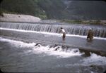 Hiro River Net Fishing
