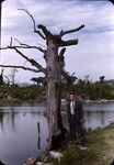 Hiroshima, Asano-Ken, Dead Tree