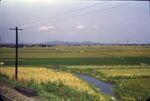 No Caption [Field With Irrigation] by Masamichi Suzuki (1918-2014)