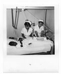 Nurses in Training by Memorial Hospital System