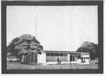 Front elevation sketch of the Hosuton- Harris County T.B. Association