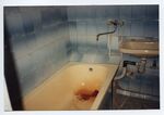 1996 [Bath Tub] by Teresa Hayes