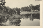 Lake in Asylum Park, Austin, TX (Front) by John P. McGovern Historical Collections & Research Center
